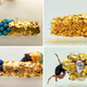 Image for article titled These Insects Build Carapaces of Gold and Pearl